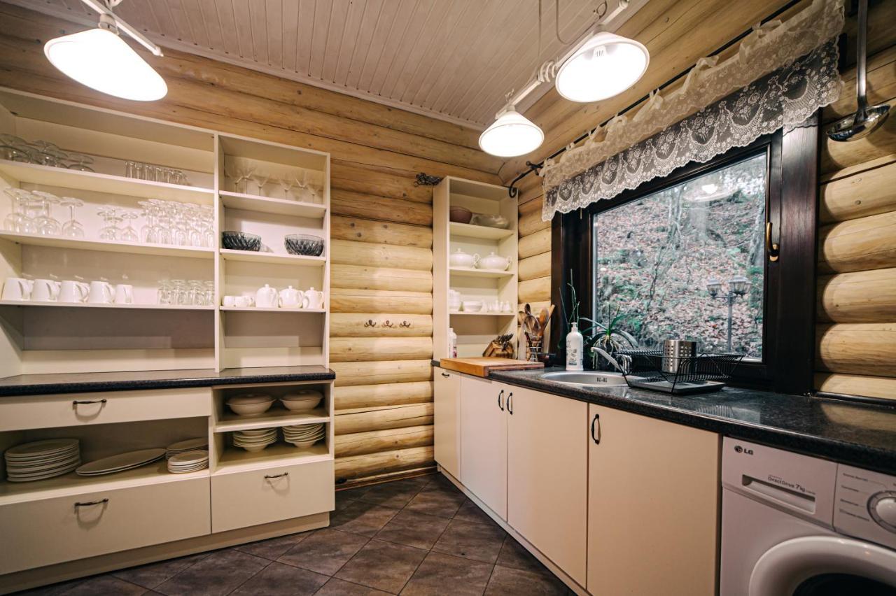 Chalet Melodiyagir Pilipets Zewnętrze zdjęcie